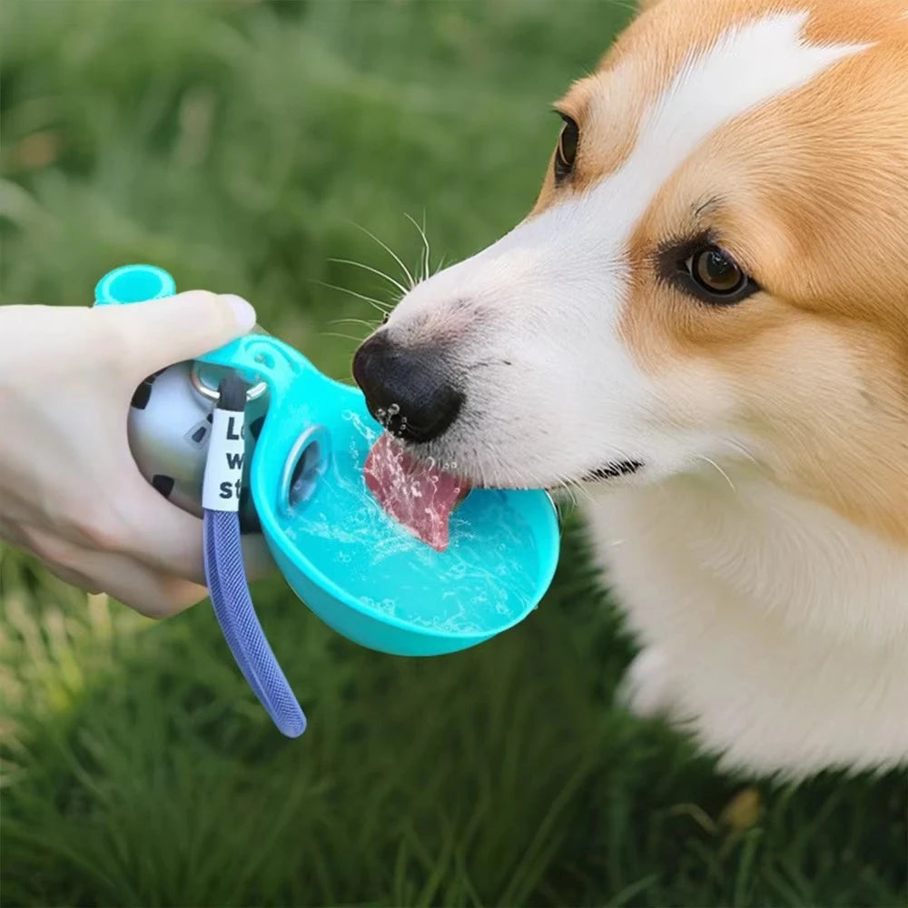 Portable Dog & Cat Water Bottle 285ml – Leak-Proof Stainless Steel